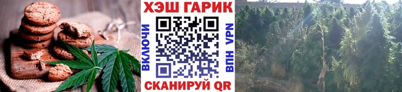 Купить где  Раменское  Еда ТГК конопля 