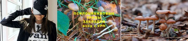 таблы Алзамай