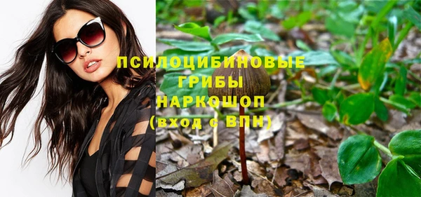 индика Алексеевка