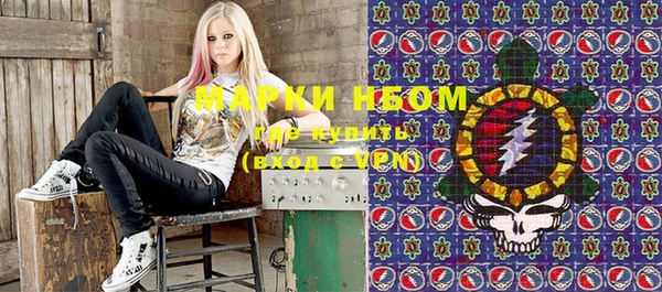 индика Алексеевка